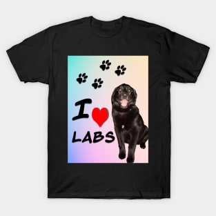 I Love Labs T-Shirt
